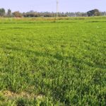 3553 ਏਕੜ ਜ਼ਮੀਨ ਐਕੁਆਇਰ ਕਰਨ ਲਈ ਨੋਟੀਫਿਕੇਸ਼ਨ