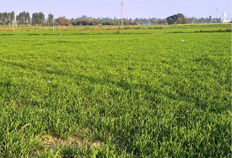 3553 ਏਕੜ ਜ਼ਮੀਨ ਐਕੁਆਇਰ ਕਰਨ ਲਈ ਨੋਟੀਫਿਕੇਸ਼ਨ