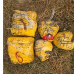 ਅੰਮ੍ਰਿਤਸਰ: 19 ਕਿੱਲੋ ਤੋਂ ਵੱਧ ਹੈਰੋਇਨ ਬਰਾਮਦ