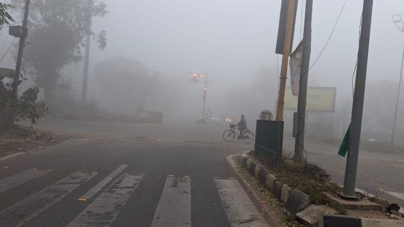 ਮੁਹਾਲੀ ਵਿੱਚ ਸਵੇਰ ਵੇਲੇ ਸੰਘਣੀ ਧੁੰਦ; ਪੰਜਾਬ ਵਿਚ ਠੰਢ ਦਾ ਰੈੱਡ ਅਲਰਟ