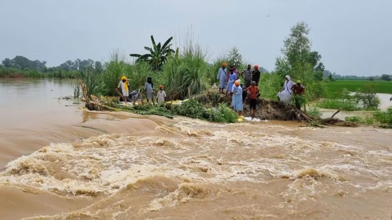 ਹੜ੍ਹ ਪ੍ਰਭਾਵਿਤ ਕਿਸਾਨਾਂ ਨੂੰ ਮਿਲੇਗਾ ਨਵਾਂ ਫ਼ਸਲੀ ਕਰਜ਼ਾ