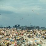 ਪਲਾਸਟਿਕ ਦੇ ਕਾਰਨ ਸਿਹਤ ’ਤੇ ਪੈਣ ਵਾਲੇ ਪ੍ਰਭਾਵ ਦੁੱਗਣੇ ਹੋ ਸਕਦੇ ਹਨ: ਅਧਿਐਨ