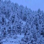 ਜੰਮੂ ਕਸ਼ਮੀਰ ਦੇ ਡੋਡਾ ’ਚ ਭਾਰੀ ਬਰਫ਼ਬਾਰੀ ਜਾਰੀ; ਜੰਮੂ ਸ੍ਰੀਨਗਰ ਸ਼ਾਹਰਾਹ ਦੂਜੇ ਦਿਨ ਵੀ ਬੰਦ