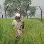 ਕਿਸਾਨਾਂ ਸਿਰ ਕਰਜ਼ਾ: ਪੰਜਾਬ ਤੀਜੇ ਅਤੇ ਹਰਿਆਣਾ ਚੌਥੇ ਸਥਾਨ ’ਤੇ