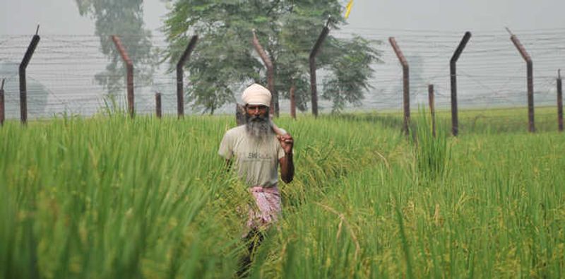 ਕਿਸਾਨਾਂ ਸਿਰ ਕਰਜ਼ਾ: ਪੰਜਾਬ ਤੀਜੇ ਅਤੇ ਹਰਿਆਣਾ ਚੌਥੇ ਸਥਾਨ ’ਤੇ