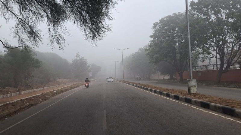 Dense Fog Shakes Tricity & Punjab: ਟਰਾਈਸਿਟੀ ਵਿੱਚ ਸਵੇਰ ਵੇਲੇ ਸੰਘਣੀ ਧੁੰਦ; ਦਿੱਲੀ ਵਿੱਚ ਕਈ ਉਡਾਣਾਂ ਲੇਟ