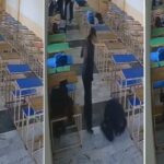 Tarn Taran ’ਚ ਗੋਲੀ ਮਾਰਨ ਵਾਲੇ ਪ੍ਰਿੰਸ ਰਾਜ ਸਿੰਘ ਦੀ ਹਾਲਤ ਹਾਲੇ ਵੀ ਗੰਭੀਰ