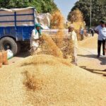 ਛੇ ਤੋਂ ਦਸ ਹਜ਼ਾਰ ਕਰੋੜ ਤੱਕ ਦੇ ਝੋਨੇ ਦੀ ਬੋਗਸ ਖ਼ਰੀਦ:ਕੇਂਦਰ ਨੇ ਪੰਜਾਬ ਸਰਕਾਰ ਨੂੰ ਜਾਂਚ ਕਰਨ ਲਈ ਕਿਹਾ