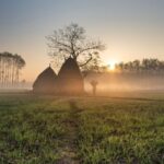 ਪੰਜਾਬ ਵਿੱਚ ਖੇਤੀ ’ਚੋਂ ਬਾਹਰ ਹੋ ਰਹੇ ਨੇ ਨੌਜਵਾਨ ਕਾਮੇ