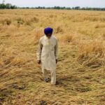 Debt on Farmers in Punjab: ਕਰਜ਼ਈ ਕਿਸਾਨਾਂ ਦੀ ਜ਼ਮੀਨ ਨਿਲਾਮ ਹੋਵੇਗੀ