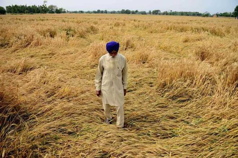 Debt on Farmers in Punjab: ਕਰਜ਼ਈ ਕਿਸਾਨਾਂ ਦੀ ਜ਼ਮੀਨ ਨਿਲਾਮ ਹੋਵੇਗੀ
