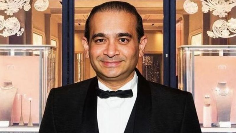 Nirav Modi Extradition Case: ਹਵਾਲਗੀ ਤੋਂ ਬਚਣ ਲਈ Nirav Modi ਨੇ ਦਿੱਤਾ ਤਸੀਹਿਆਂ ਦਾ ‘ਤਰਕ’