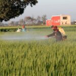 ਪੰਜਾਬ ਵਿੱਚ ਲਗਾਤਾਰ ਤਿੰਨ ਦਿਨ ਮੀਂਹ ਦੇ ਆਸਾਰ