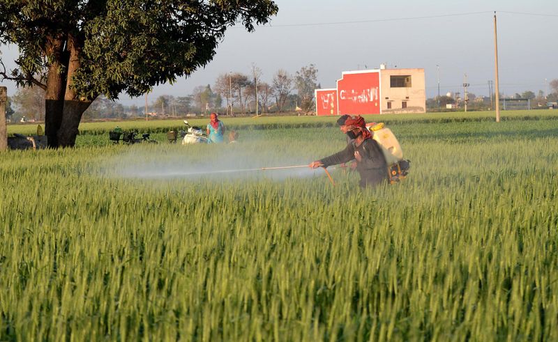 ਪੰਜਾਬ ਵਿੱਚ ਲਗਾਤਾਰ ਤਿੰਨ ਦਿਨ ਮੀਂਹ ਦੇ ਆਸਾਰ