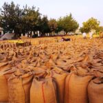 ਪੰਜਾਬ ’ਚ ਕਣਕ ਭੰਡਾਰਨ ਦਾ ਸੰਕਟ