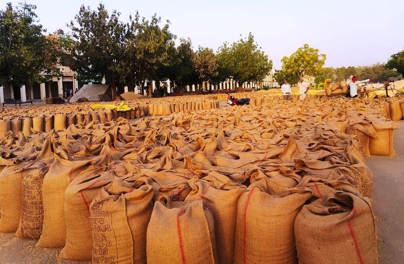 ਪੰਜਾਬ ’ਚ ਕਣਕ ਭੰਡਾਰਨ ਦਾ ਸੰਕਟ