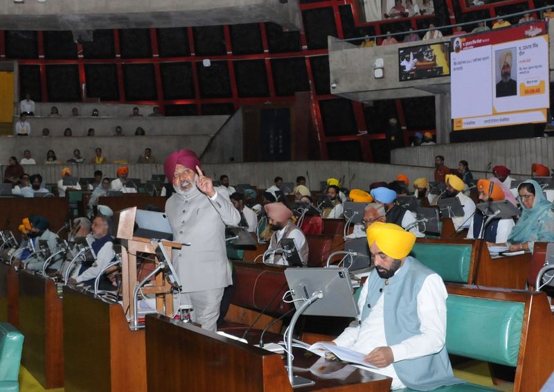 ਖੇਤਾਂ ਦਾ ਸ਼ਹੀਦ: ਹੁਣ ਬਜਟ ਨਹੀਂ ਪੁੂੰਝਦਾ ਪੀੜਤਾਂ ਦੇ ਹੰਝੂ..!