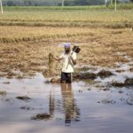 ਜ਼ਮੀਨ ਮਾਲਕਾਂ ਨੂੰ ਗਾਰ ਕੱਢਣ ਅਤੇ ਮੁਫ਼ਤ ਵਰਤਣ ਦੀ ਪ੍ਰਵਾਨਗੀ