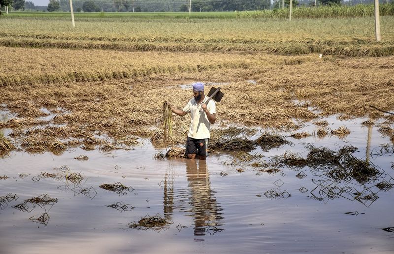 ਜ਼ਮੀਨ ਮਾਲਕਾਂ ਨੂੰ ਗਾਰ ਕੱਢਣ ਅਤੇ ਮੁਫ਼ਤ ਵਰਤਣ ਦੀ ਪ੍ਰਵਾਨਗੀ