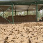 ਪੰਜਾਬ ਦੀਆਂ ਮੰਡੀਆਂ ’ਚ ਇਕ ਲੱਖ ਟਨ ਕਣਕ ਪੁੱਜੀ