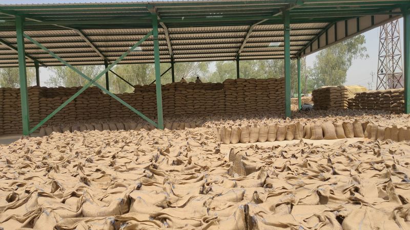 ਪੰਜਾਬ ਦੀਆਂ ਮੰਡੀਆਂ ’ਚ ਇਕ ਲੱਖ ਟਨ ਕਣਕ ਪੁੱਜੀ