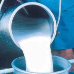 Milkfed ਨੇ ਦੁੱਧ ਦੀ ਖ਼ਰੀਦ ਕੀਮਤ ਵਧਾਈ