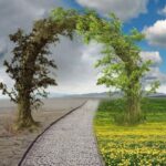 UN climate summit: ਭਾਰਤ 2028 ‘ਚ ਸੰਯੁਕਤ ਰਾਸ਼ਟਰ ਜਲਵਾਯੂ ਸੰਮੇਲਨ ਦੀ ਨਹੀਂ ਕਰੇਗਾ ਮੇਜ਼ਬਾਨੀ