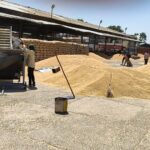 Punjab ਨੂੰ ਕਣਕ ਦੇ ਖ਼ਰੀਦ ਮਾਪਦੰਡਾਂ ’ਚ ਢਿੱਲ ਮਿਲੀ