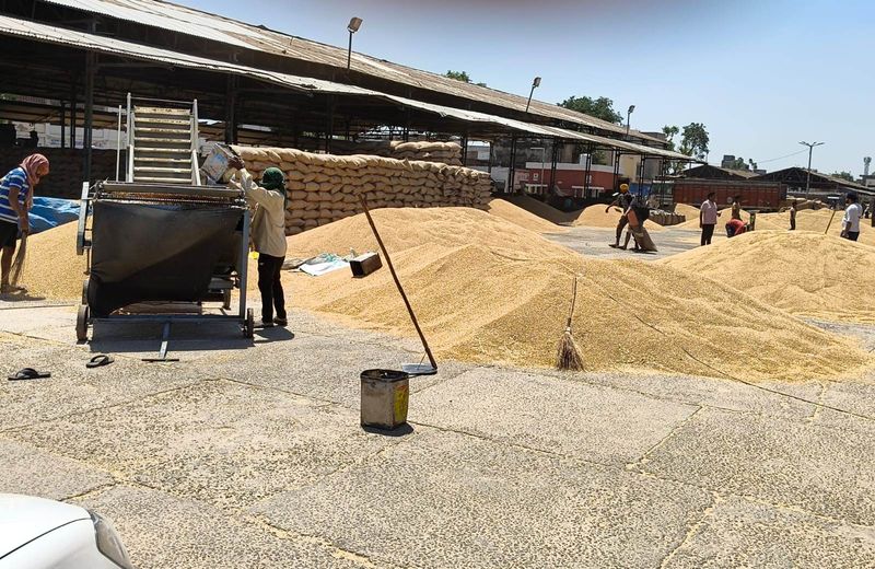 Punjab ਨੂੰ ਕਣਕ ਦੇ ਖ਼ਰੀਦ ਮਾਪਦੰਡਾਂ ’ਚ ਢਿੱਲ ਮਿਲੀ