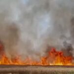 ਅੱਗ ਲੱਗਣ ਕਾਰਨ ਦੋ ਪਿੰਡਾਂ ’ਚ ਦਸ ਏਕੜ ਕਣਕ ਸੜੀ