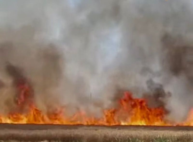 ਅੱਗ ਲੱਗਣ ਕਾਰਨ ਦੋ ਪਿੰਡਾਂ ’ਚ ਦਸ ਏਕੜ ਕਣਕ ਸੜੀ