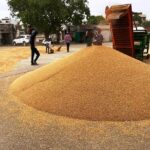 ਆੜ੍ਹਤੀਆਂ ਦੀ ਹੜਤਾਲ ’ਤੇ ਮੁੱਖ ਮੰਤਰੀ ਸਖ਼ਤ