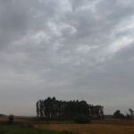 ਪੰਜਾਬ ’ਚ ਮੌਸਮ ਨੇ ਬਦਲਿਆ ਮਿਜ਼ਾਜ: ਤੇਜ਼ ਹਵਾਵਾਂ ਤੇ ਕਣੀਆਂ ਨਾਲ ਗਰਮੀ ਤੋਂ ਮਿਲੀ ਰਾਹਤ