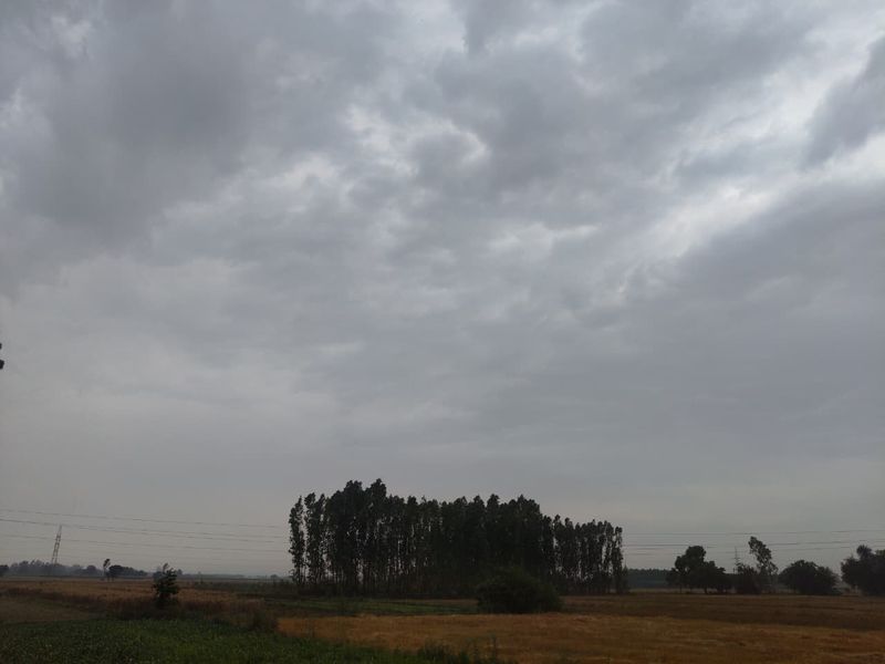 ਪੰਜਾਬ ’ਚ ਮੌਸਮ ਨੇ ਬਦਲਿਆ ਮਿਜ਼ਾਜ: ਤੇਜ਼ ਹਵਾਵਾਂ ਤੇ ਕਣੀਆਂ ਨਾਲ ਗਰਮੀ ਤੋਂ ਮਿਲੀ ਰਾਹਤ