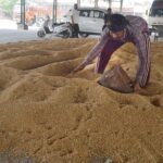 ਆੜ੍ਹਤੀਏ ਪਰਤੇ; ਕਣਕ ਦੀ ਖ਼ਰੀਦ ਮੁੜ ਸ਼ੁਰੂ