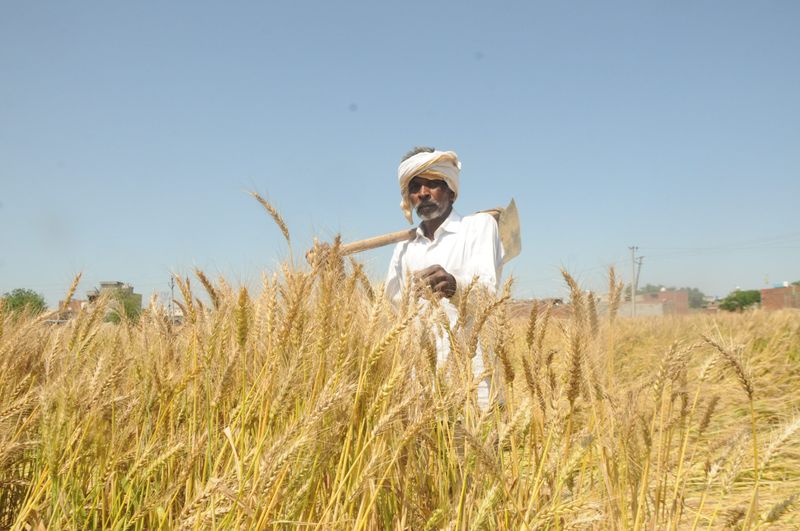 ਆੜ੍ਹਤੀਏ ਅੱਜ ਤੋਂ ਹੜਤਾਲ ’ਤੇ