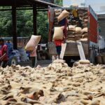 ਪੰਜਾਬ ਵਿੱਚ ਕਣਕ ਦੀ ਚੁਕਾਈ ਨੇ ਰਫ਼ਤਾਰ ਫੜੀ