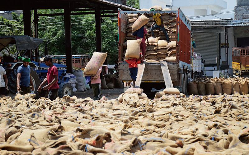 ਪੰਜਾਬ ਵਿੱਚ ਕਣਕ ਦੀ ਚੁਕਾਈ ਨੇ ਰਫ਼ਤਾਰ ਫੜੀ