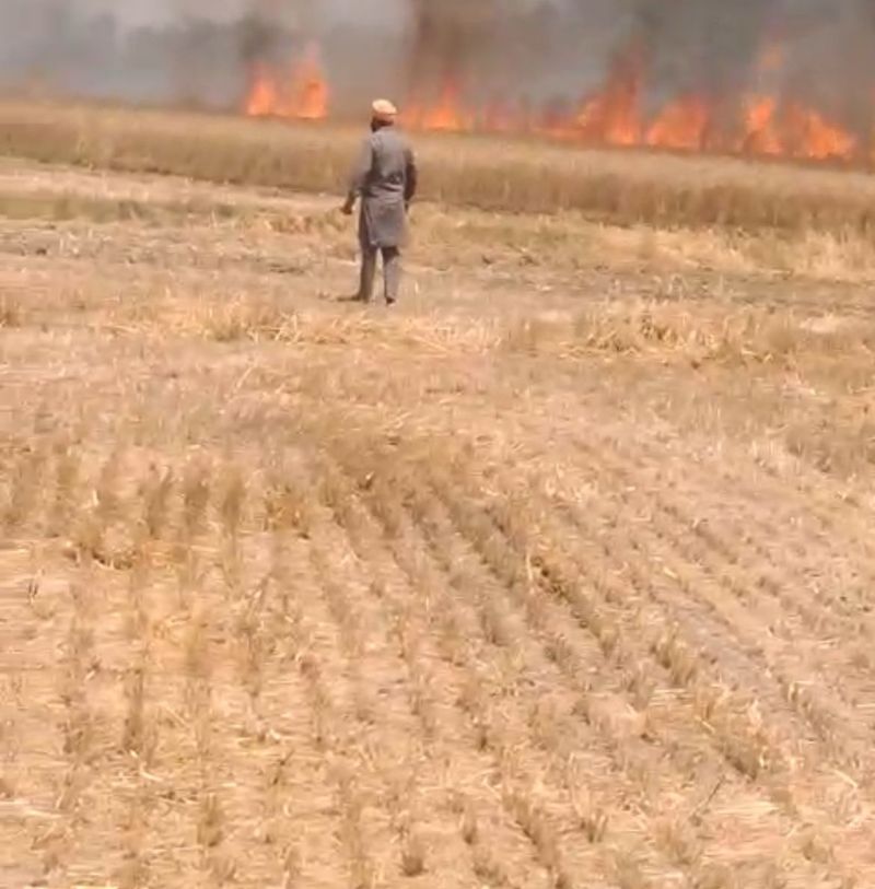 ਅੱਗ ਨਾਲ ਸੱਤ ਏਕੜ ਕਣਕ ਅਤੇ ਨਾੜ ਸੜਿਆ