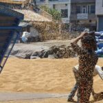 ਪੰਜਾਬ ’ਚ ਵਾਢੀ ਦਾ ਕੰਮ ਪੰਜਾਹ ਫੀਸਦ ਮੁਕੰਮਲ