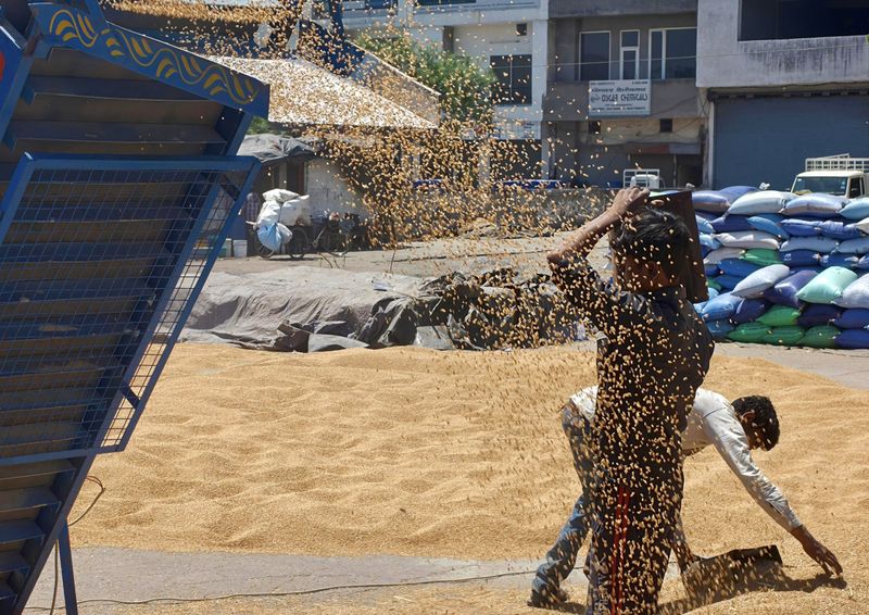 ਪੰਜਾਬ ’ਚ ਵਾਢੀ ਦਾ ਕੰਮ ਪੰਜਾਹ ਫੀਸਦ ਮੁਕੰਮਲ