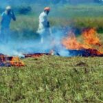 ਪਰਾਲੀ ਪ੍ਰਬੰਧਨ ਲਈ ਪੰਜਾਬ ਸਰਕਾਰ ਵੱਲੋਂ 600 ਕਰੋੜ ਮਨਜ਼ੂਰ