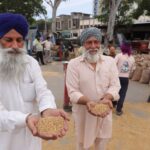 ਜਲੰਧਰ ਦੀਆਂ ਮੰਡੀਆਂ ’ਚ ਕਣਕ ਦੀ ਆਮਦ ਸ਼ੁਰੂ: ਮੌਸਮ ਦੀ ਮਾਰ ਨਾਲ ਫ਼ਸਲ ਦੀ ਚਮਕ ਪਈ ਫਿੱਕੀ