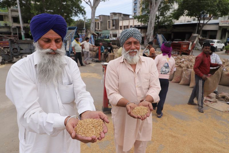 ਜਲੰਧਰ ਦੀਆਂ ਮੰਡੀਆਂ ’ਚ ਕਣਕ ਦੀ ਆਮਦ ਸ਼ੁਰੂ: ਮੌਸਮ ਦੀ ਮਾਰ ਨਾਲ ਫ਼ਸਲ ਦੀ ਚਮਕ ਪਈ ਫਿੱਕੀ