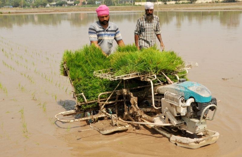 ਝੋਨੇ ਦੀ ਸਿੱਧੀ ਬਿਜਾਈ (DSR) ਲਈ ਵੱਡੀ ਮੁਹਿੰਮ: ਪੰਜਾਬ ਸਰਕਾਰ ਨੇ ਮਿੱਥਿਆ 5 ਲੱਖ ਏਕੜ ਦਾ ਟੀਚਾ, ਕਿਸਾਨਾਂ ਨੂੰ ਮਿਲੇਗੀ 1500 ਰੁਪਏ ਸਬਸਿਡੀ!