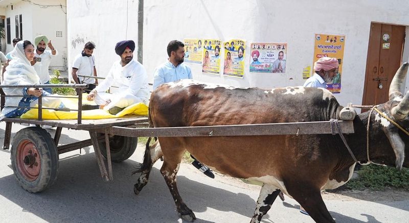 Punjab MC Elections: ਤੇਲ ਕੀਮਤਾਂ ਦੇ ਵਿਰੋਧ ‘ਚ ਬੈਲ ਗੱਡੀ ‘ਤੇ ਵੋਟ ਪਾਉਣ ਪਤਨੀ ਸਮੇਤ ਪਹੁੰਚੇ ਰਾਜਾ ਵੜਿੰਗ