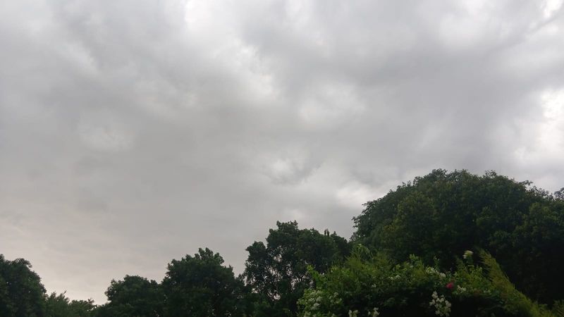 Chandigarh Weather: ਚੰਡੀਗੜ੍ਹ ਵਿੱਚ ਤੇਜ਼ ਹਵਾਵਾਂ ਤੇ ਹਲਕੀ ਬੂੰਦਾ-ਬਾਂਦੀ ਨਾਲ ਮੌਸਮ ਹੋਇਆ ਸੁਹਾਵਣਾ