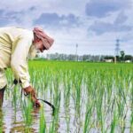 Crop Loan Limit Reforms: ਫ਼ਸਲੀ ਹੱਦ ਕਰਜ਼ੇ ’ਚ ਸੁਧਾਰਾਂ ਦਾ ਐਲਾਨ