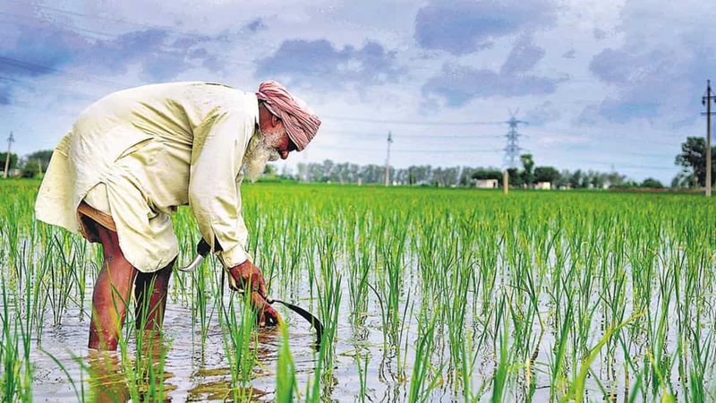Crop Loan Limit Reforms: ਫ਼ਸਲੀ ਹੱਦ ਕਰਜ਼ੇ ’ਚ ਸੁਧਾਰਾਂ ਦਾ ਐਲਾਨ