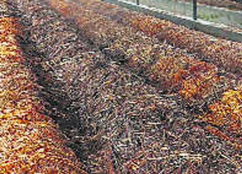 Kharif sowing season ’ਚ 3.5 ਗੁਣਾ ਵੱਧ ਜੈਵਿਕ ਖਾਦ ਖਰੀਦੀ